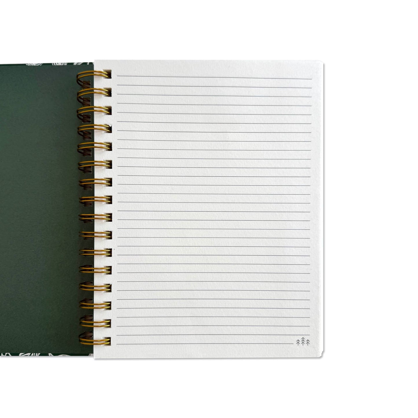 Tropics Notebook