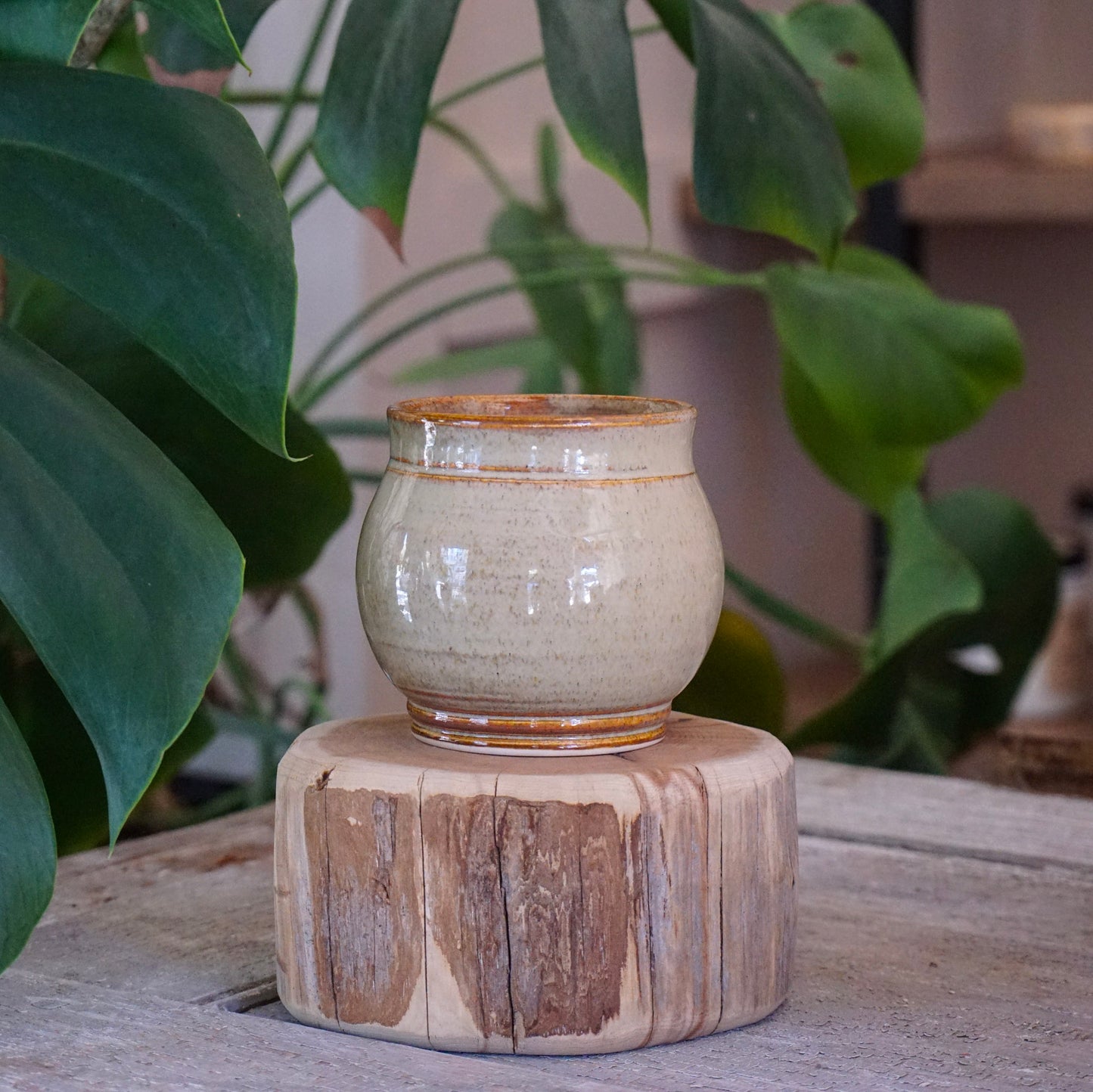 Earthen Goat Cauldron 5