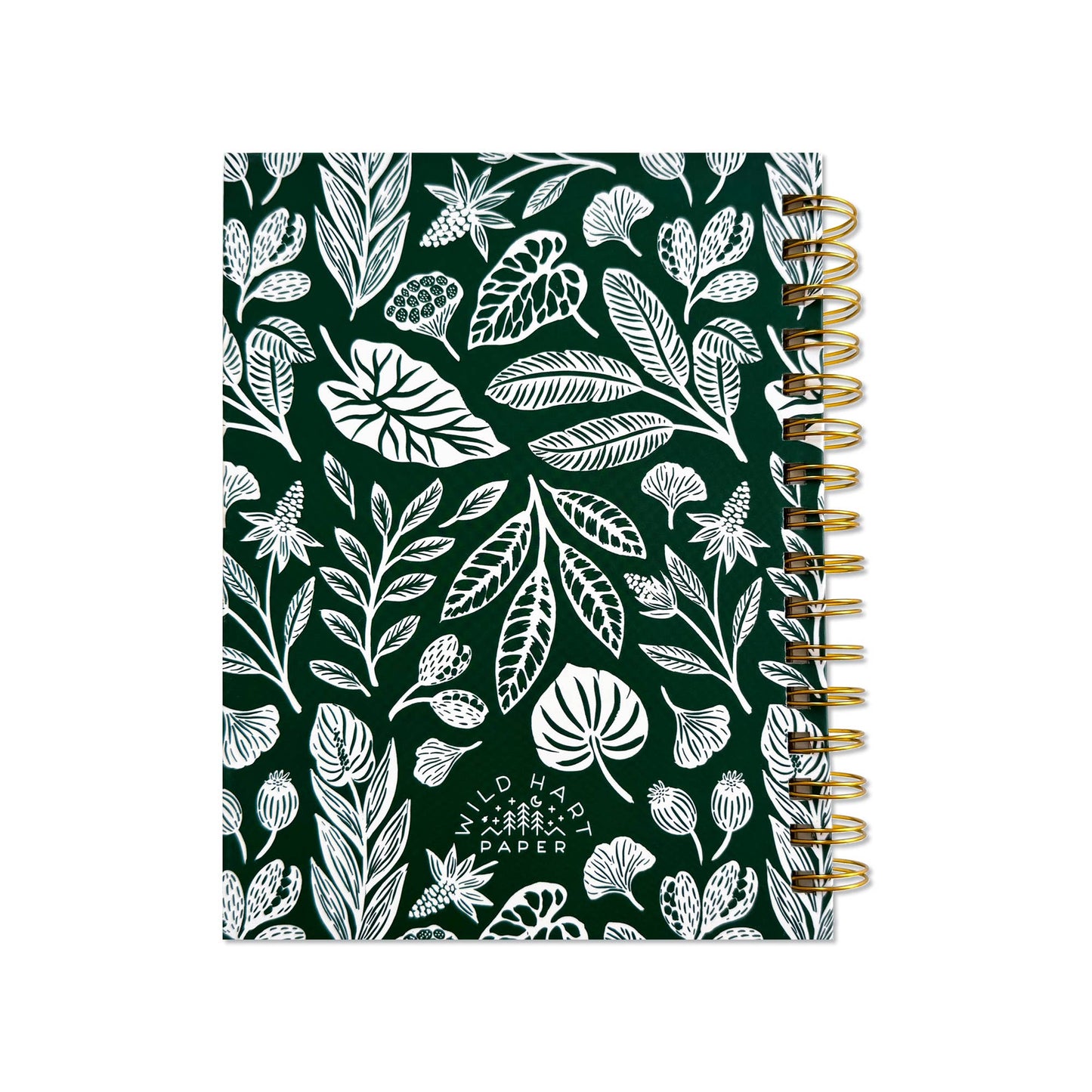 Tropics Notebook