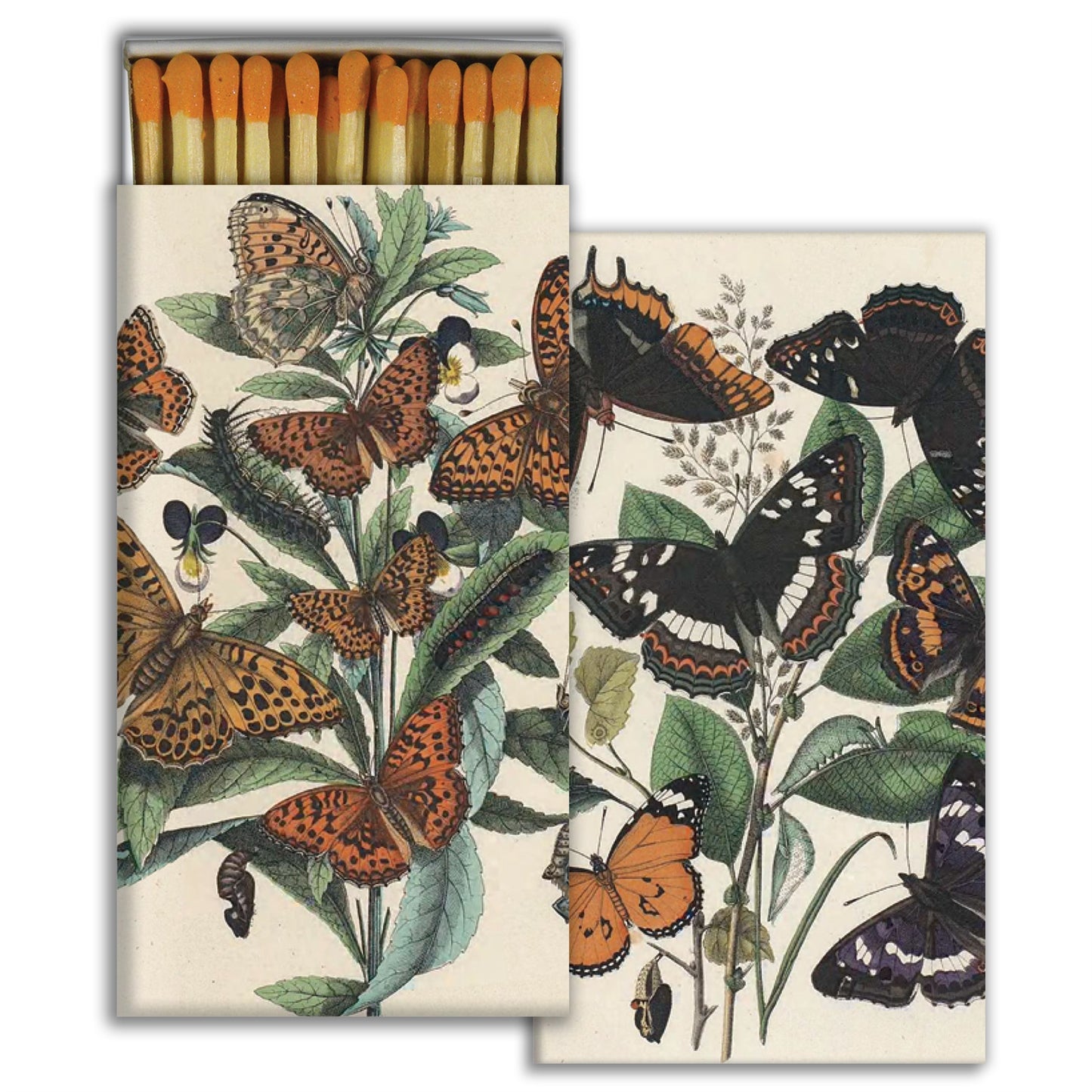 Matches - Monarch