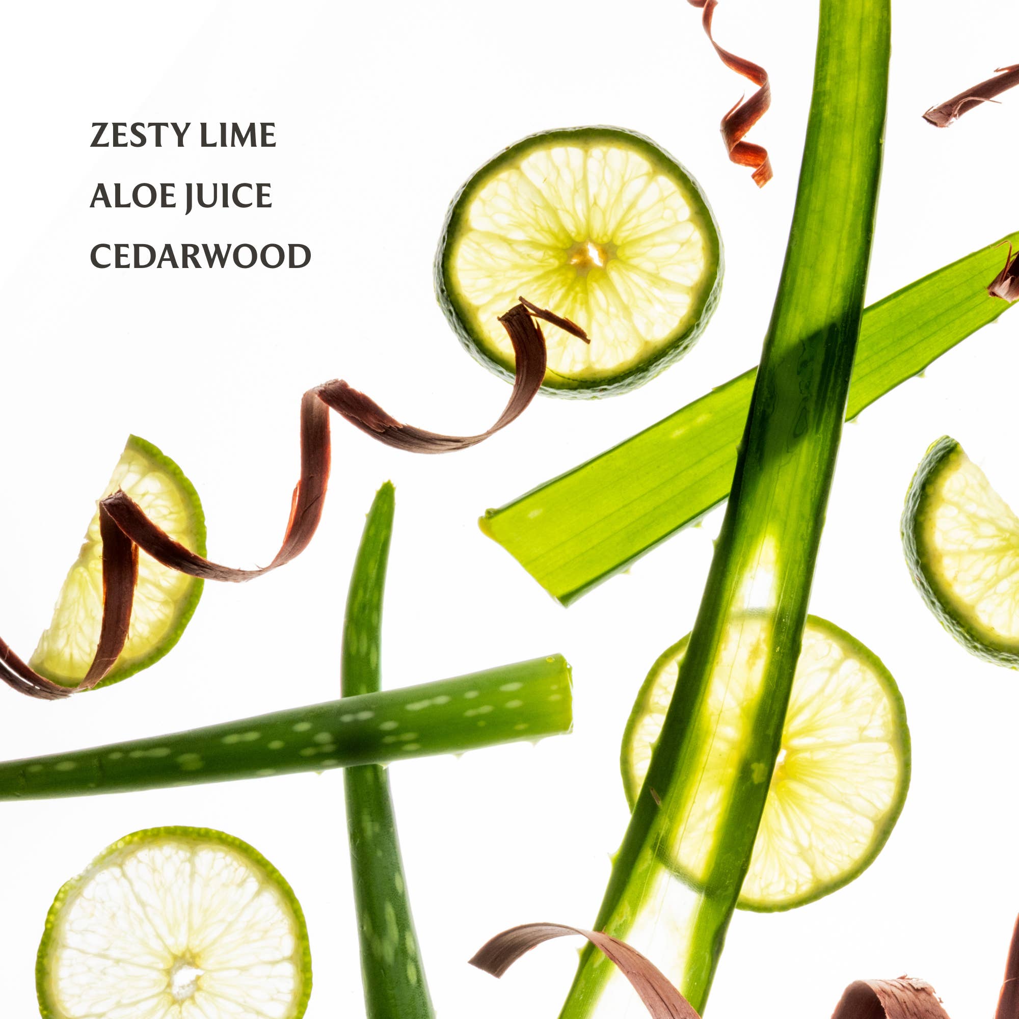 Aloe You Power Mist Hydrating Hand Sanitizer