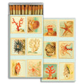 Matches - Coral