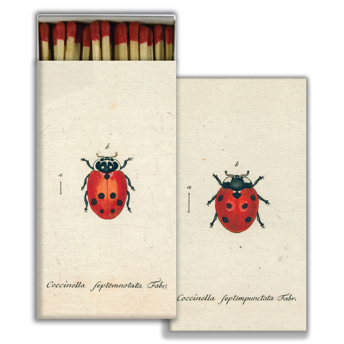 Matches - Lady Bug