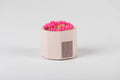 Pink Match Holder