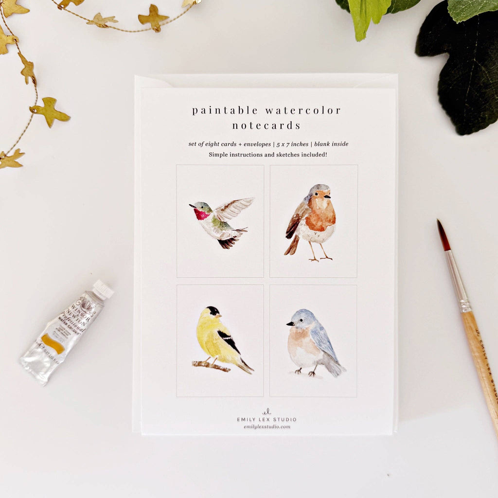 Backyard birds paintable notecards
